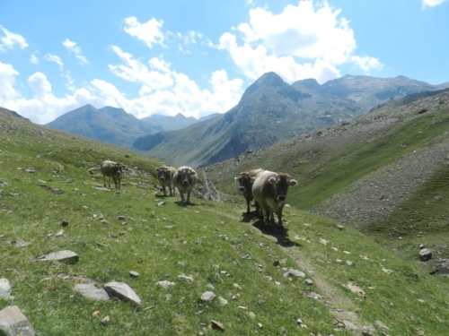 Nacimiento del Ara