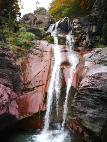 Llanos de la Larri