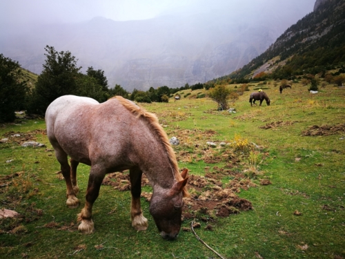 Llanos de la Larri