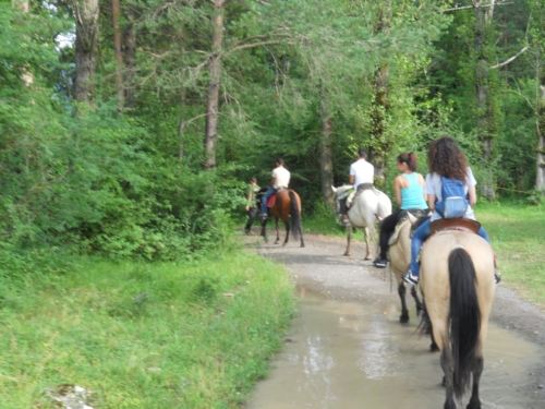 Paseos a Caballo