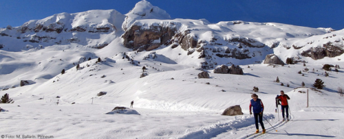 Raquetas y Ski de fondo